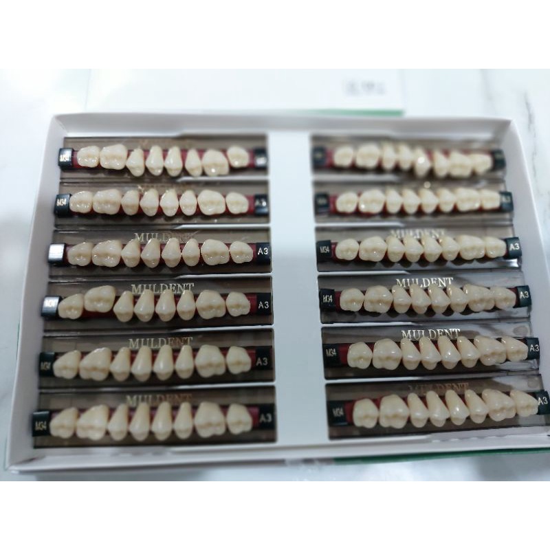 GIGI GERAHAM ATAS BAWAH MERK MULDENT