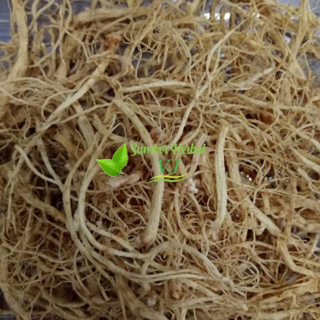 

50 GR CHINESE AKAR GINSENG/BAI SHEN XU