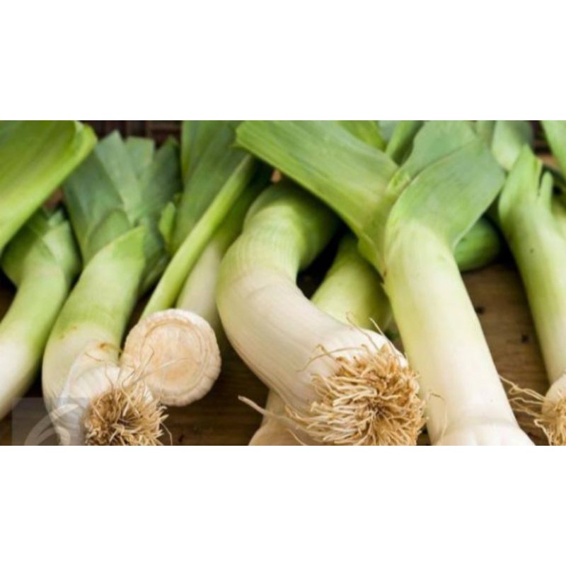 Leek Batang 1/2 kg