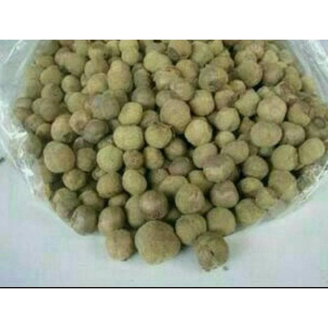 Sedia 1 Kg Benih Biji Pohon Jati Emas Super Unggul Bibit / Biji