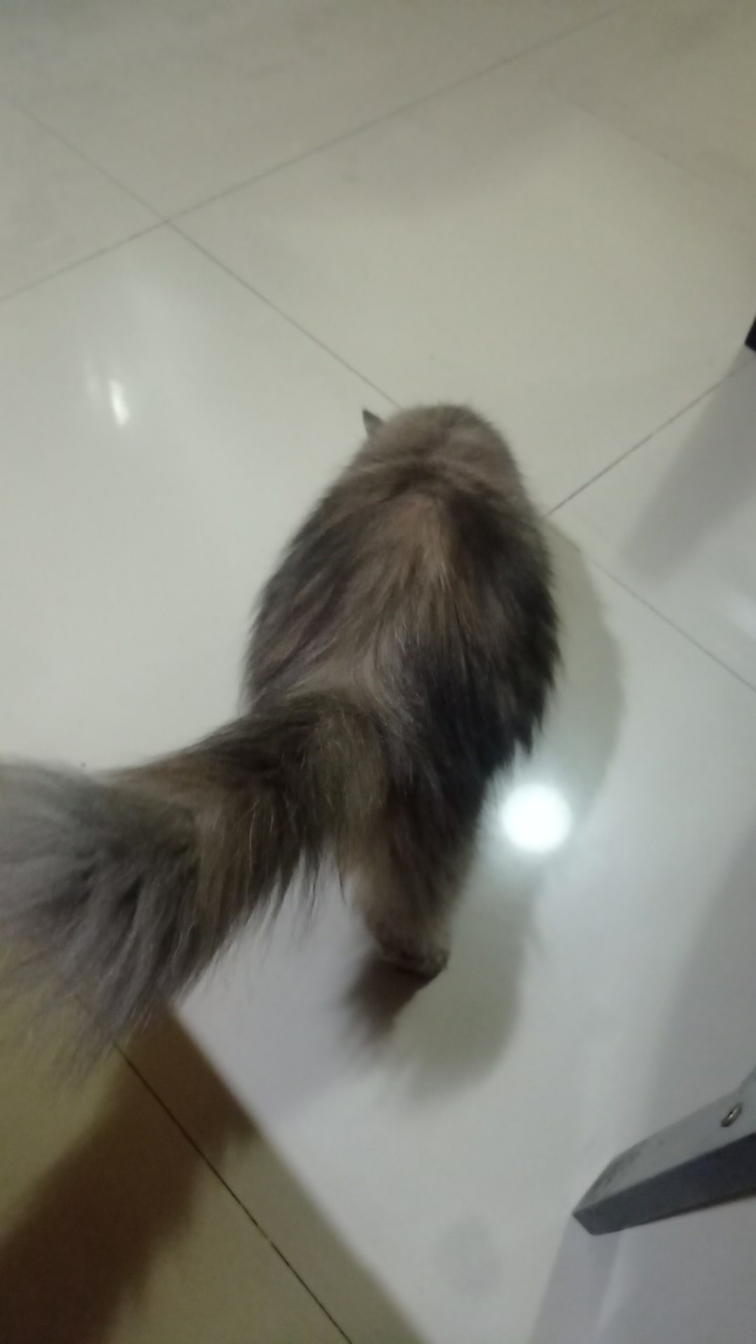 Setalan Batik Anak 6-10bulan