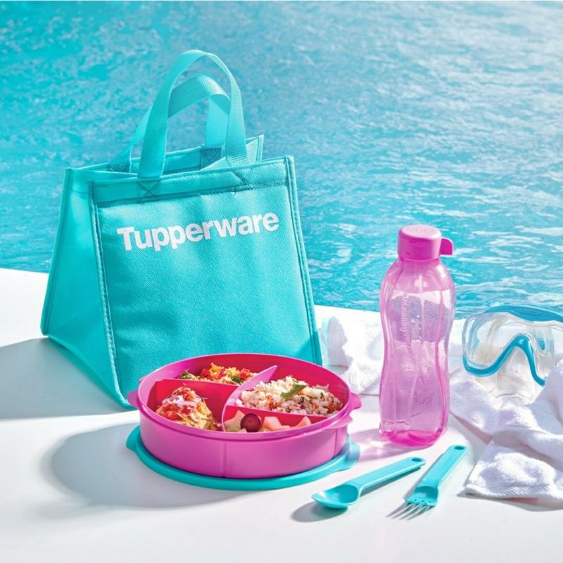 Fit To Go Tupperware - Pink Tosca