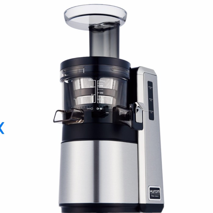 Hurom Slow Juicer Hz-Sbe17 - Silver