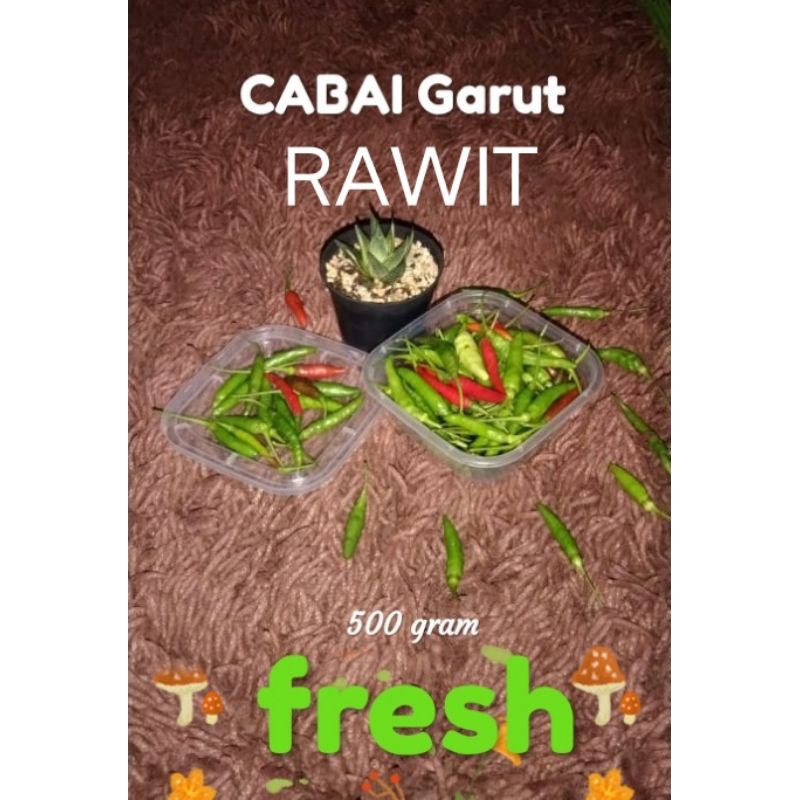 

Cabai Rawit Garut