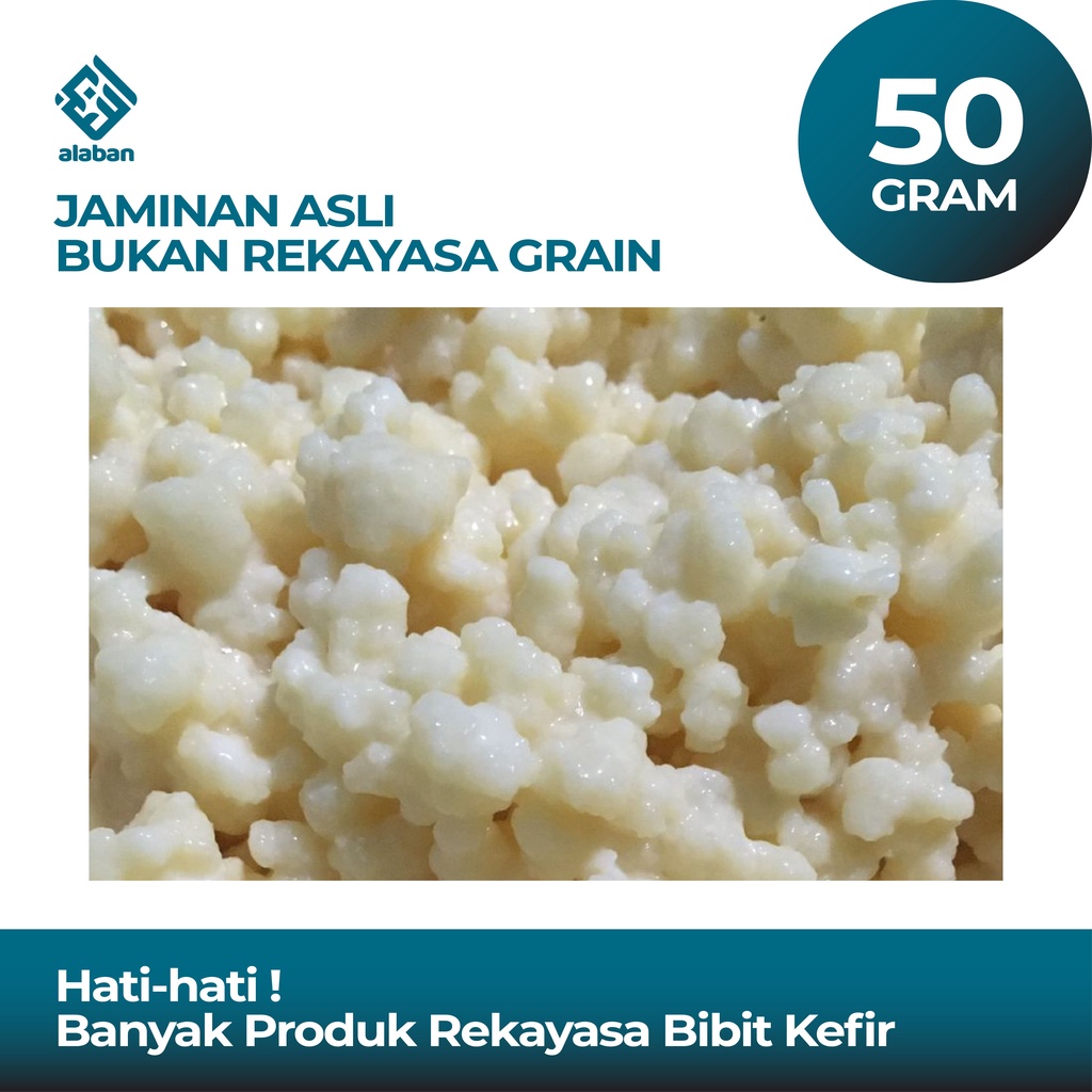 

Bibit Kefir Grains Hidup Bisa Digunakan Selamanya