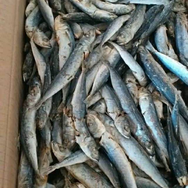 

Ikan asin rebus lampung siap olah berat 1kg
