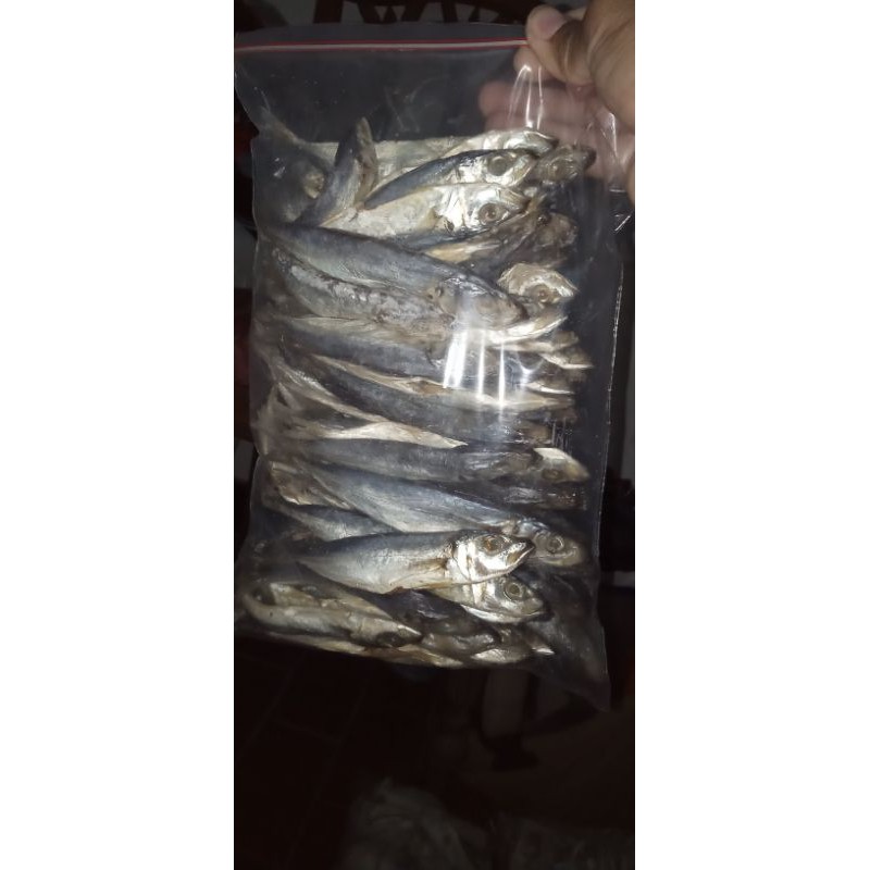 

Ikan pedo/ ikan layang 1kg