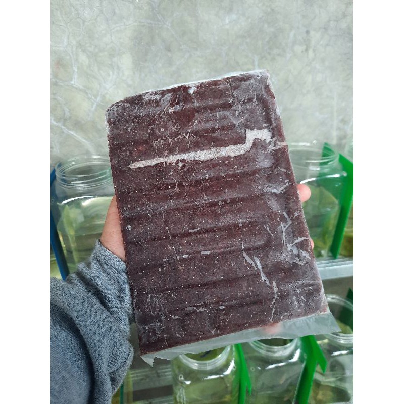 cacing beku (cacing darah) (1kg)