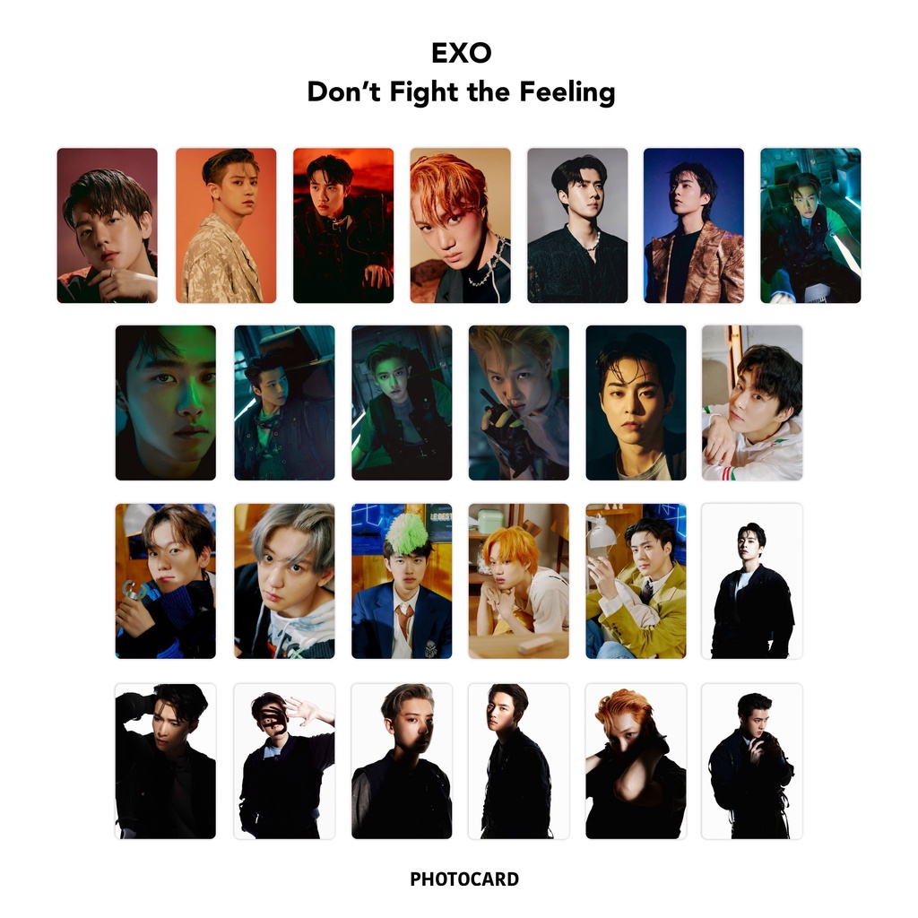 Photocard Exo Don't Fight the Feeling