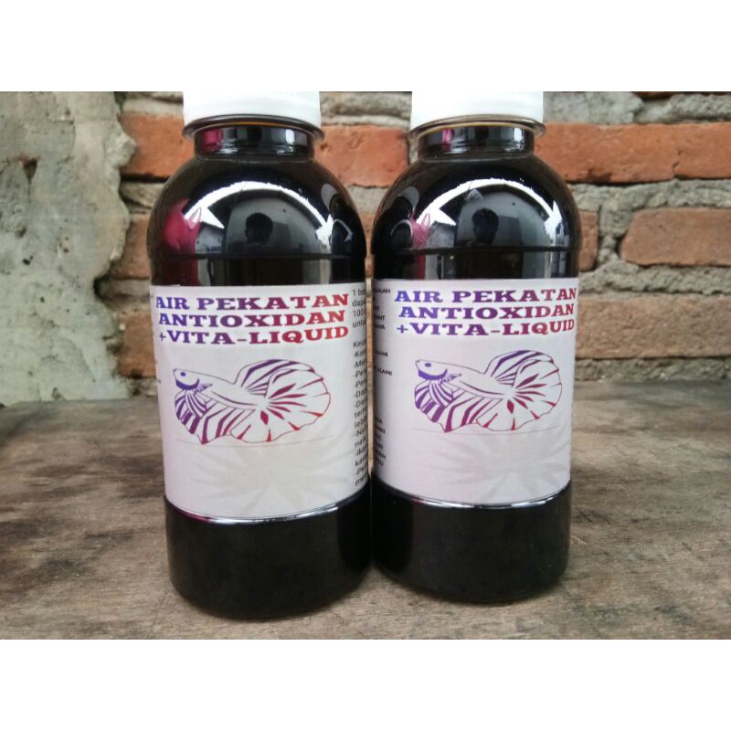

ketapang antioxidan