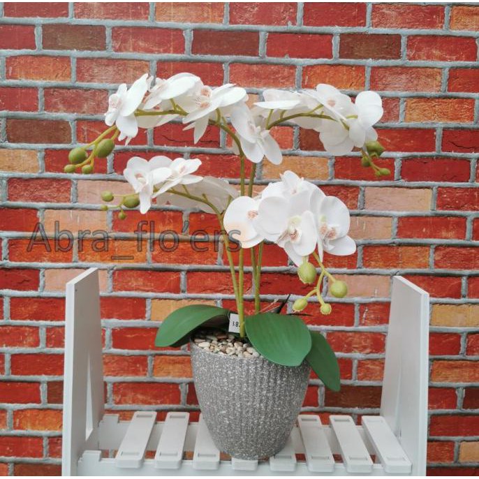 Anggrek Latek Medium Putih 4 Tangkai Pot Melamin Abu