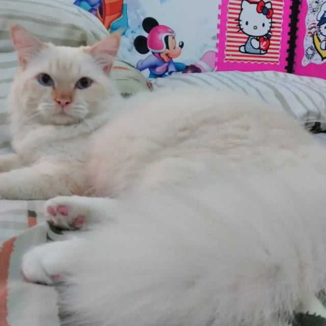 susydyanawati