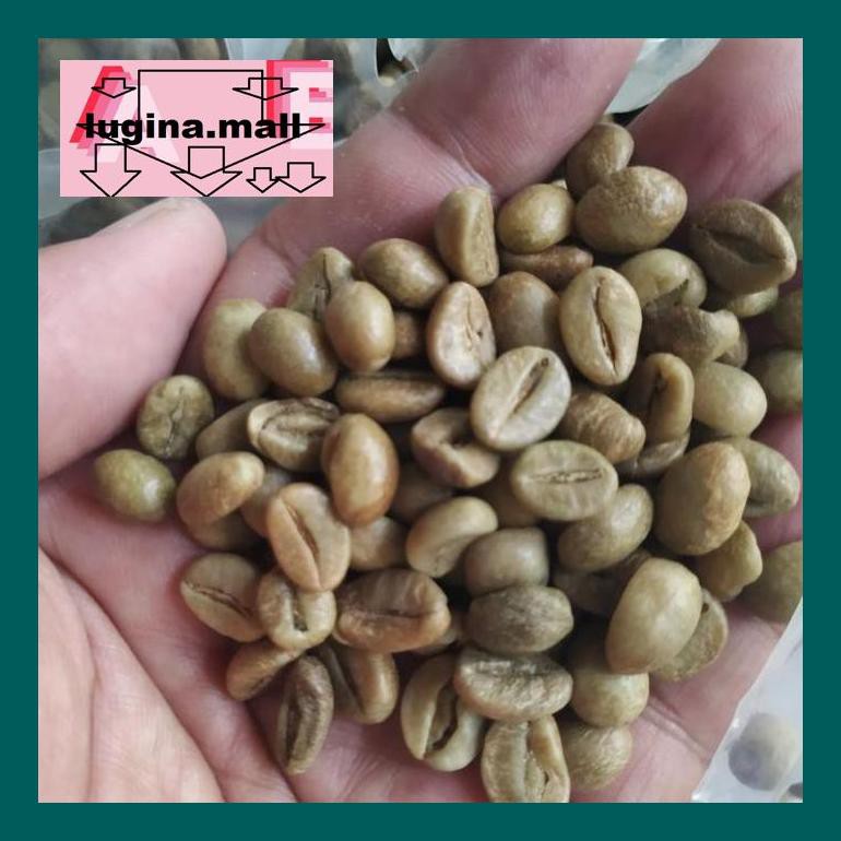 

Koptlu50G Green Bean Kopi Robusta Dampit Malang 1 Kg Lud5Sc