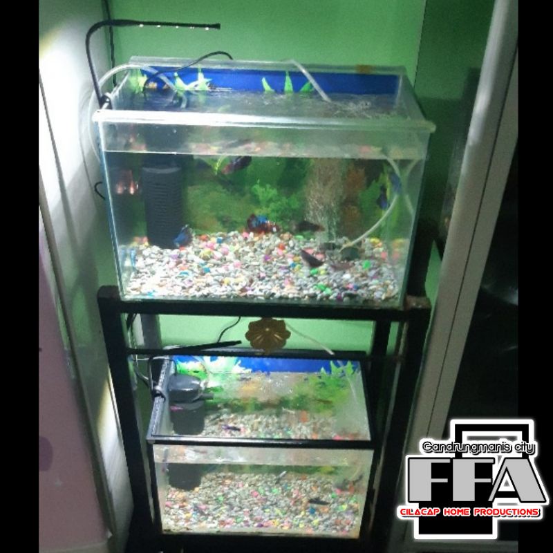 Kecil-kecil cabe rawit Lampu hias LED aquarium mini Putih 10 Cm