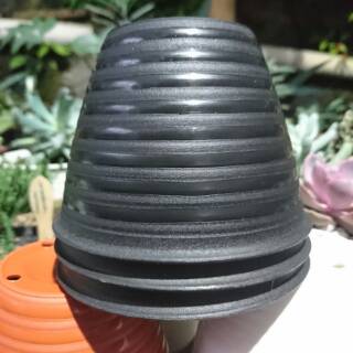 Pot Tawon 10 Shopee Indonesia Pot Tawon 10 Shopee Indonesia