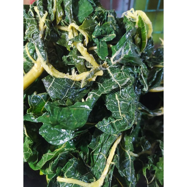 

Daun Pepaya Pait (Rebus) Tanpa Campuran (250g)
