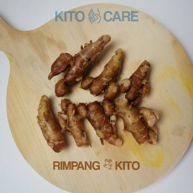 

Kencur Segar 1/2kg