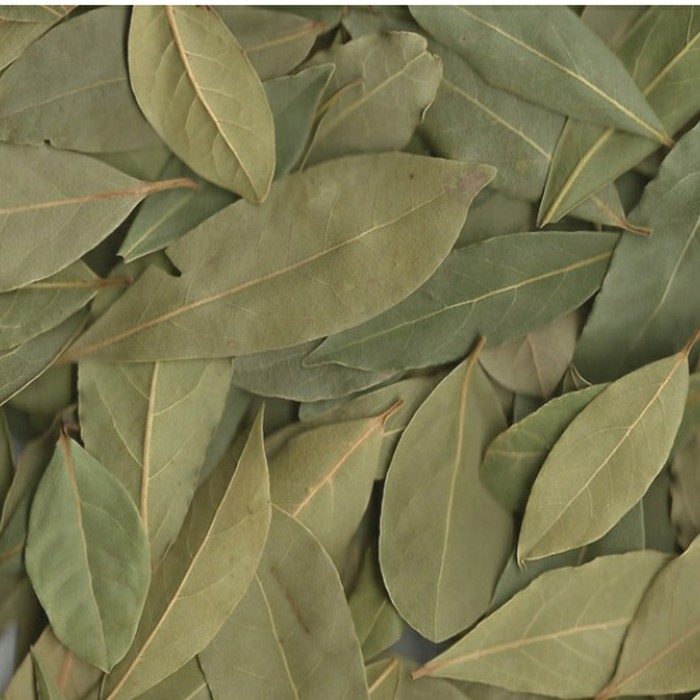 

SGS Daun Salam Import Bayleaves Bay Leaves Bayleaf