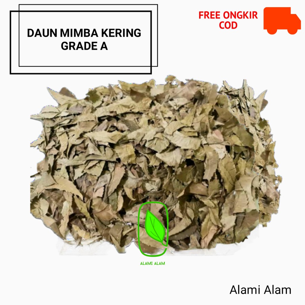 

Daun Mimba Hijau Kering Herbal Alam Tradisional Alami Kwalitas Terjamin Harga Terjangkau