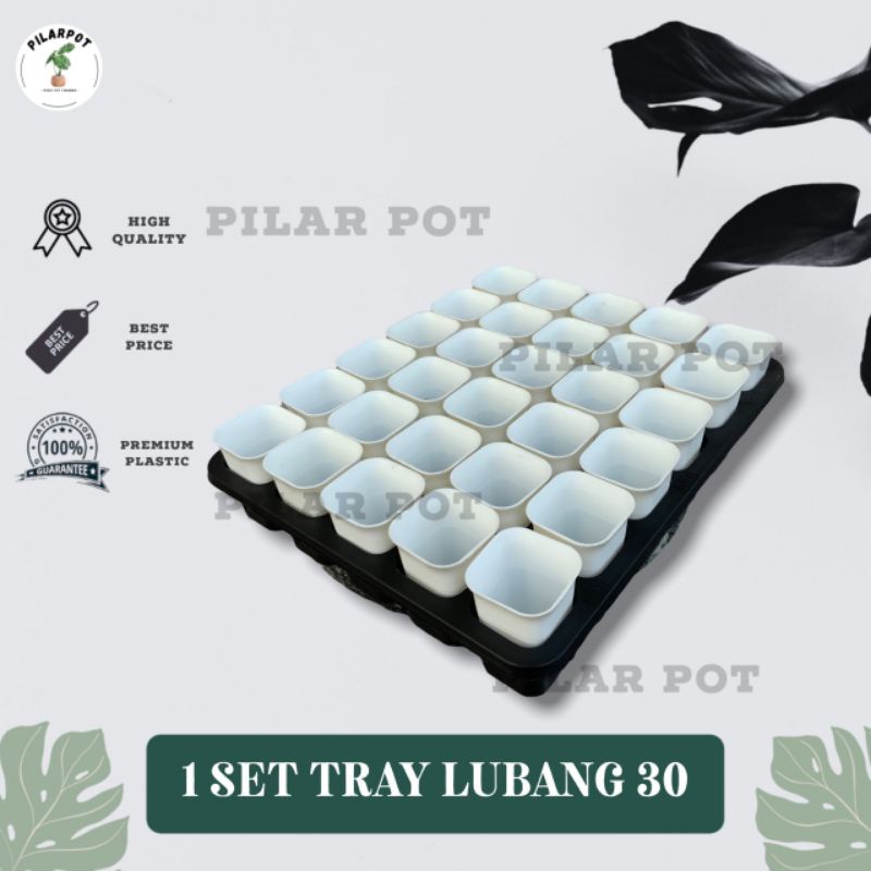 1 SET TRAY LUBANG 30 + POT NKT KOTAK 5CM PUTIH 30 PCS | TRAY SEMAI BIBIT