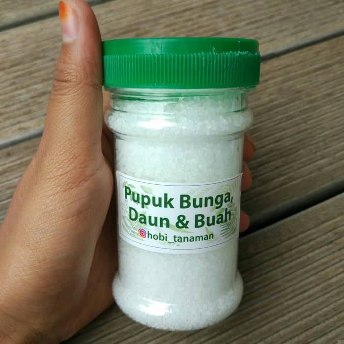 

Termurah pupuk bunga daun dan buah Terlaris