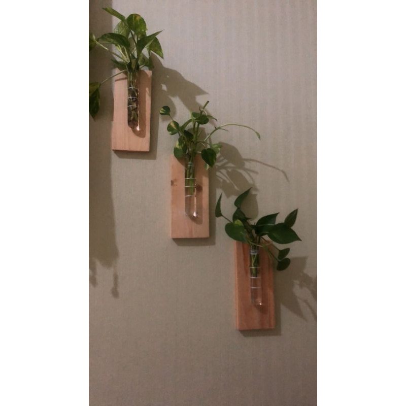 pot bunga gantung dinding tembok vas bunga kaca tanaman hias