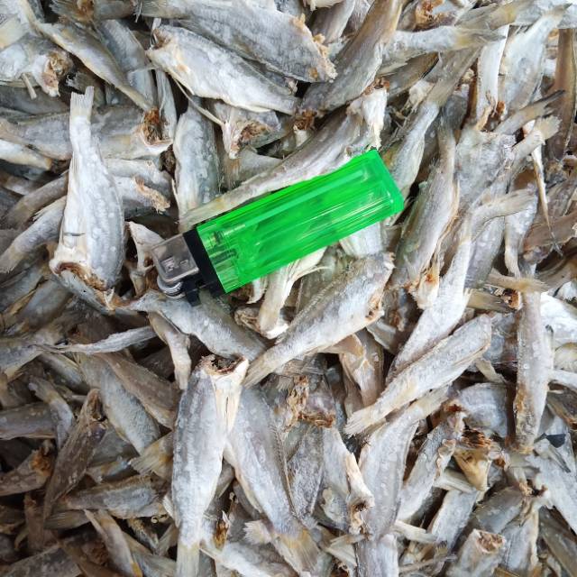

Ank ikan asin tanpa kepala