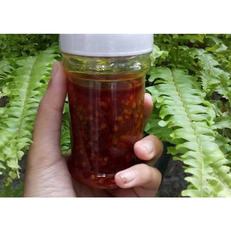 

sambal cumi asin