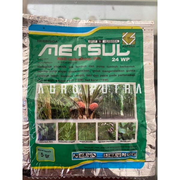 METSUL 24 WP