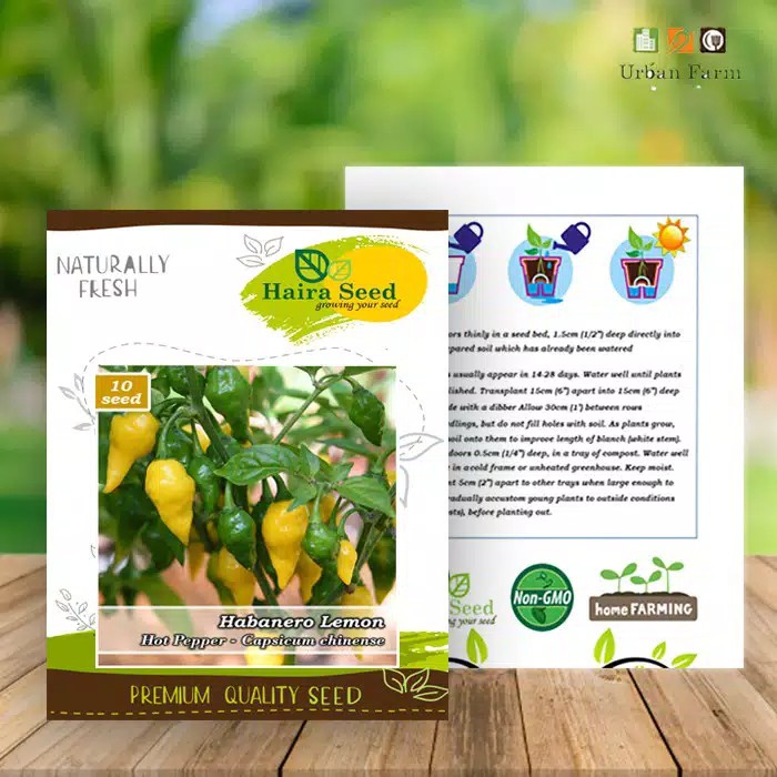 Benih Cabai Hias Habanero Lemon