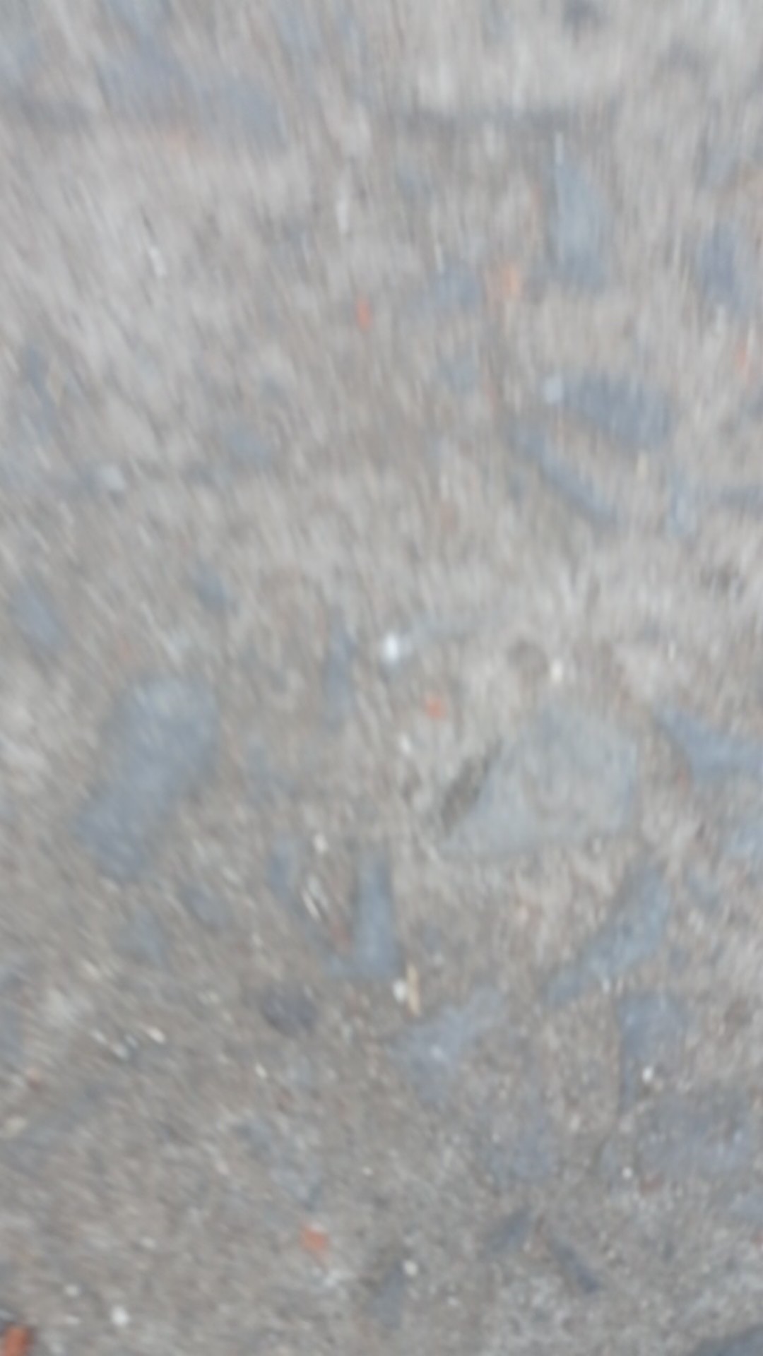 Pengkilap Body Halus Free Kain Lap Microfiber Termurah