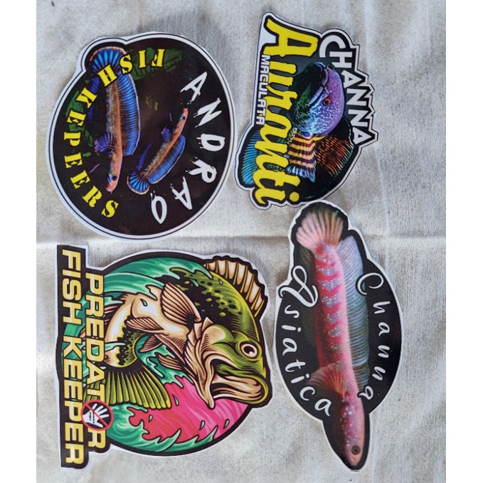 STIKER CHANNA STICKER AQUARIUM