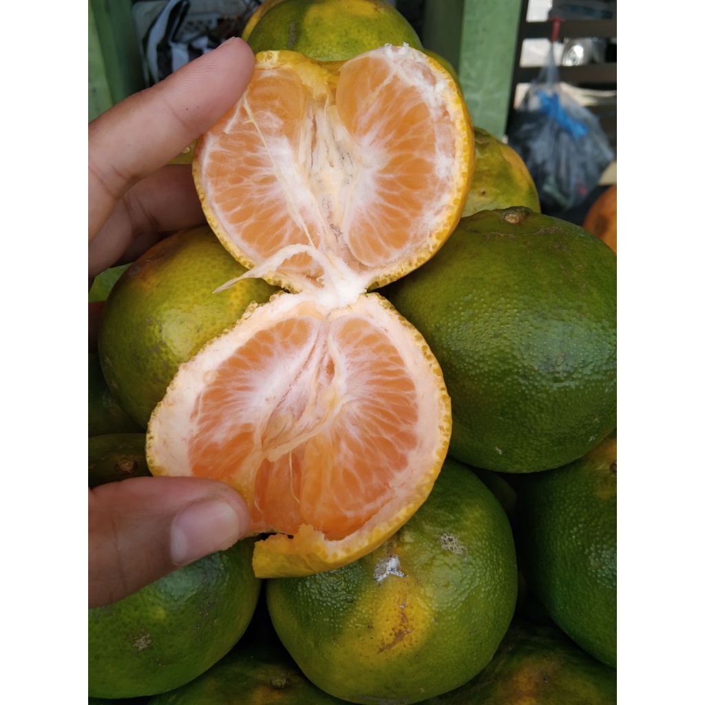 

Jeruk keprok 55 malang buah lokal manis