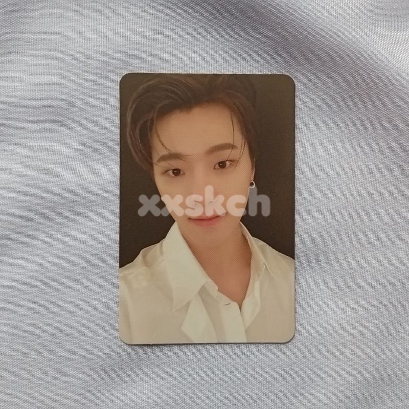 SEVENTEEN Your Choice Photocard Dino