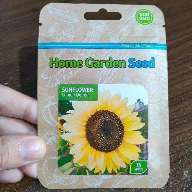 HGS - benih BUNGA MATAHARI LEMON QUEEN isi 15 biji - benih sunflowers - home garden seed