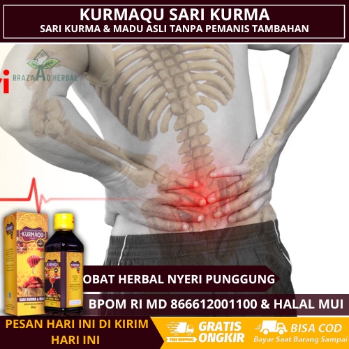 Obat Herbal Nyeri Punggung, Penghilang Nyeri Punggung Kronis, Nyeri Tulang Belakang,  Nyeri Otot Pun