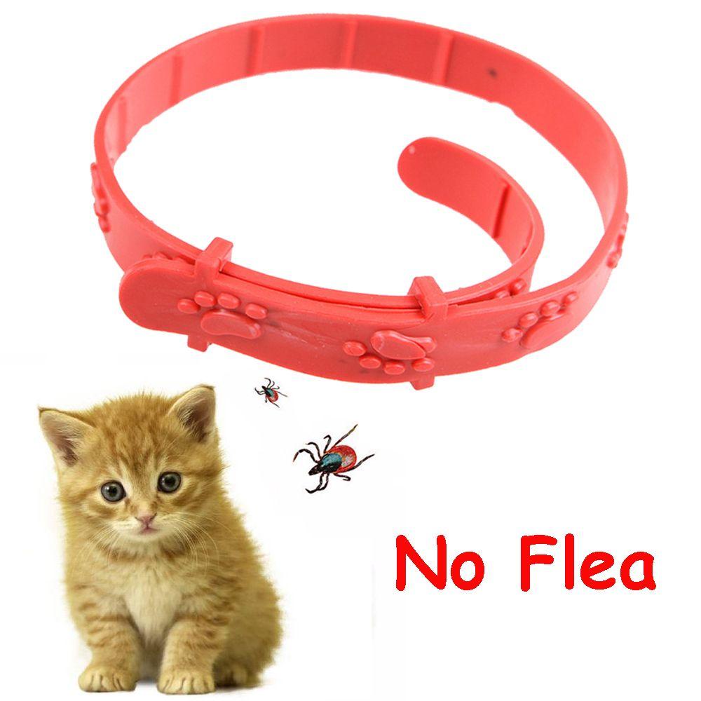 TOP Pet Collar Red Adjustable Cat Kitten Obat