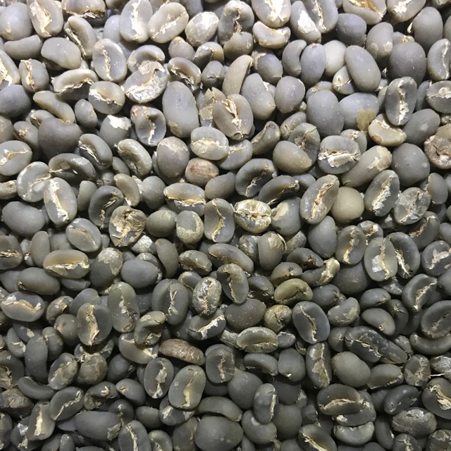 

Biji Kopi / Greenbean Arabika Mandailing Karo Semi-Wash 250gr 500gr 1Kg