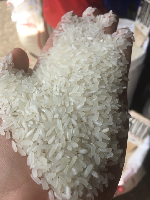 

Terlaris! Beras 5 kg / 10 kg / 17 kg