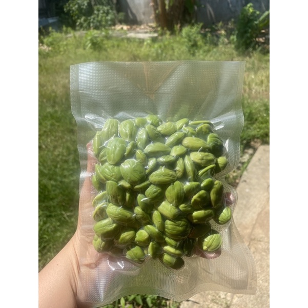 Stink Bean  Petai Padi Kalimantan 250 gram  / pete padi enak dan legit/ pete padi sambas