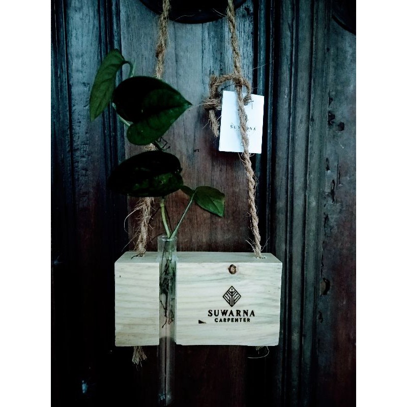 Pot Gantung Kayu Jati Belanda Unik plus Tabung Kaca Reaksi Kimia