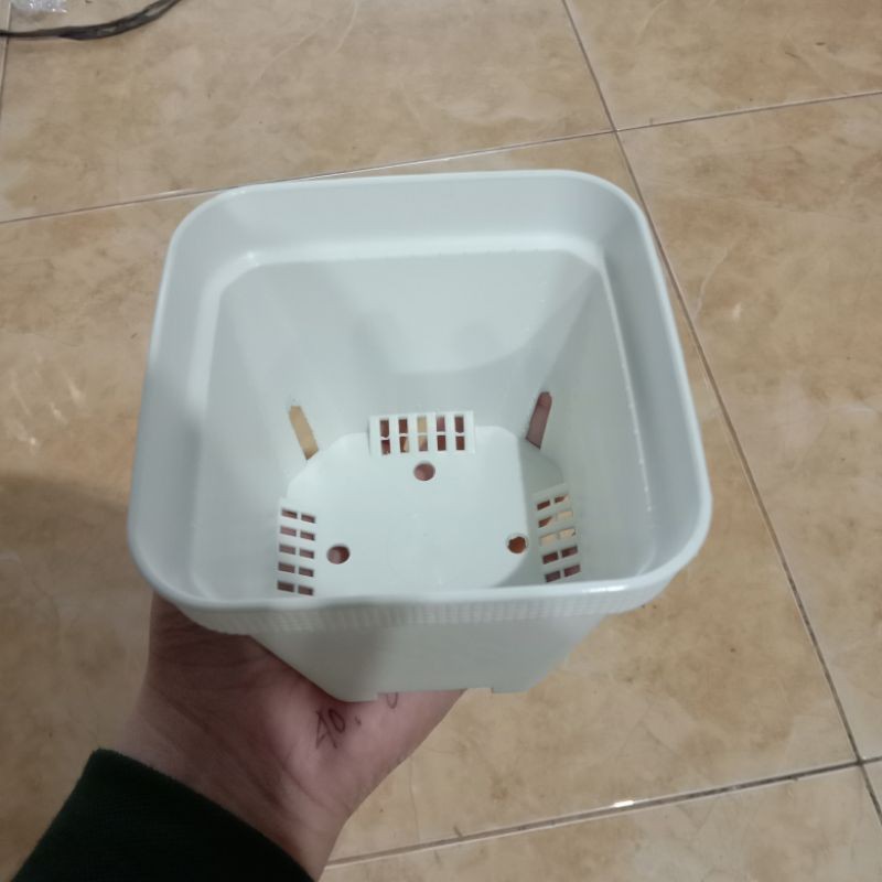 POT TANAMAN HIAS SUKULEN KAKTUS/POT KOTAK SOFI L WARNA PUTIH UKURAN 10 CM