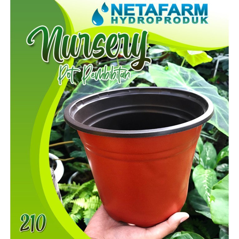 POT NURSERY ELASTIS Pembibitan Tanaman Coklat Hitam no 210 - 1 Lusin