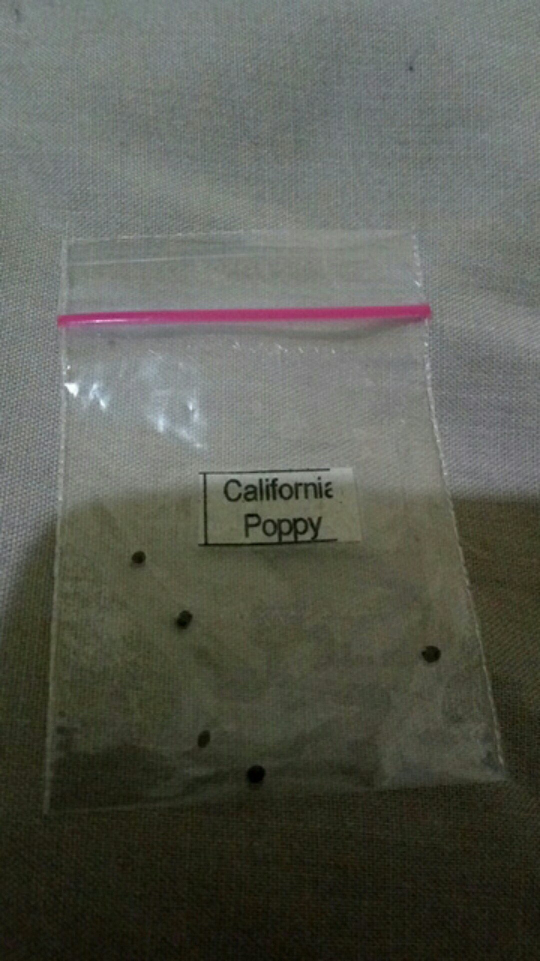 Bu1/5 - Benih Biji Bibit Unggul Kemasan Seribu Ecer Repack Bunga California Poppy Orange