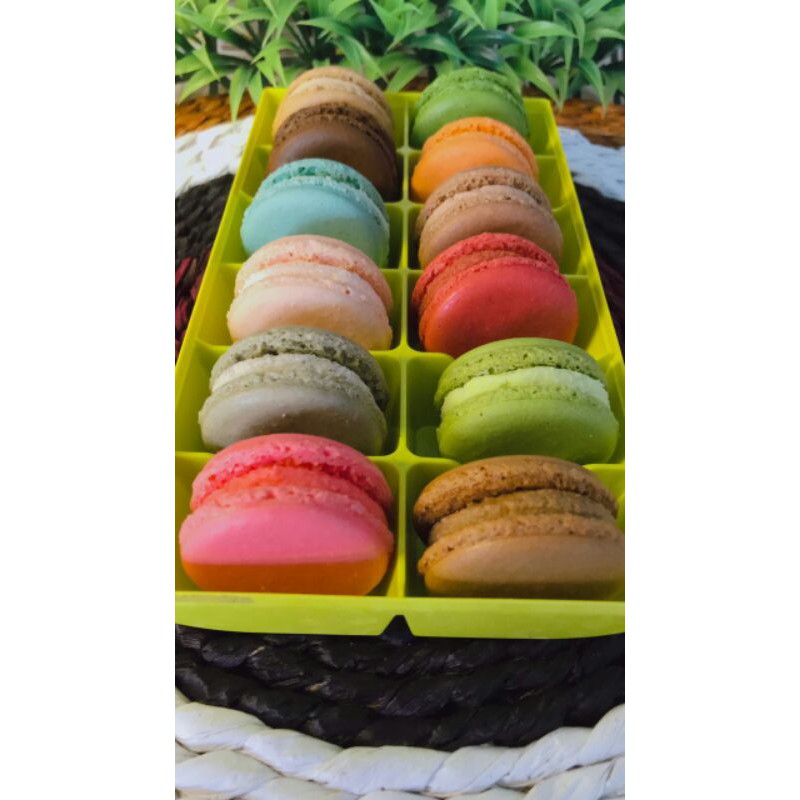 

Reguler Macaron Isi 12 pcs