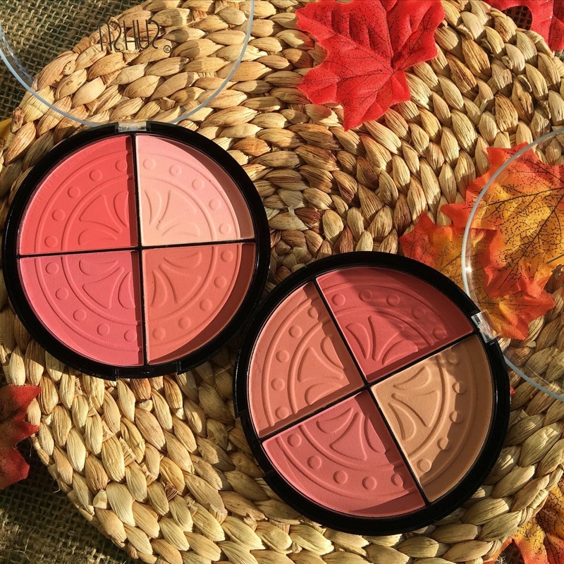 Blush on ushas pallete