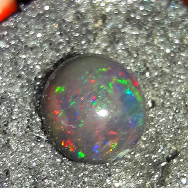 

X maya black opal kopi