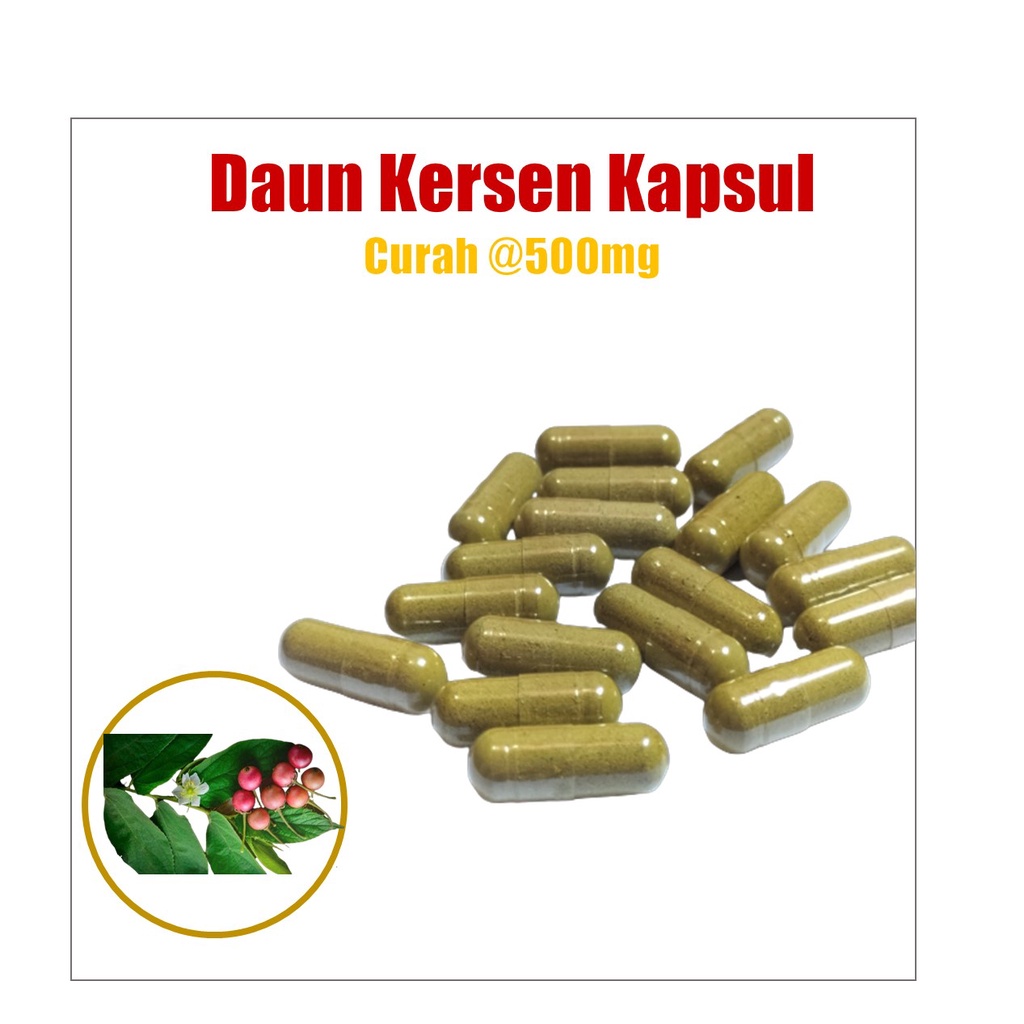 Daun Kersen Curah Harga Per 1 Kapsul / Pcs
