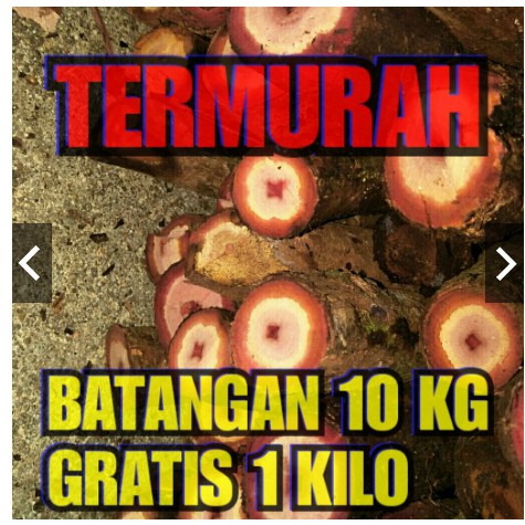 

(KALALAWIT)BAJAKAH BATANG(10kg )