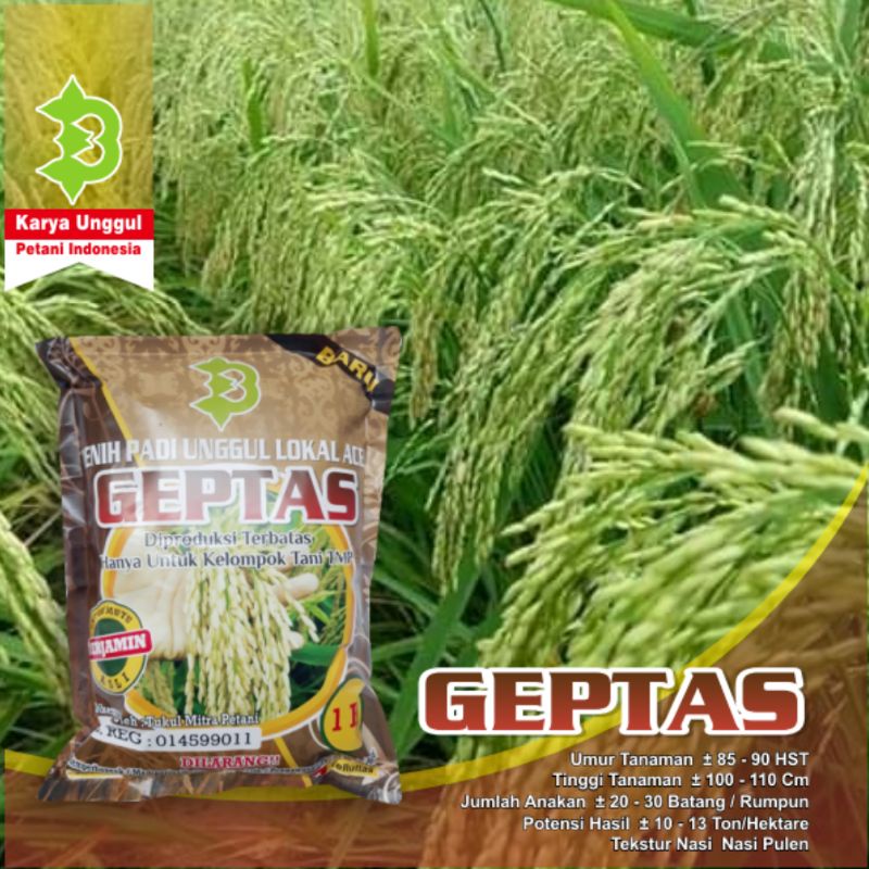 Bisa COD Padi Geptas Super Premium nya